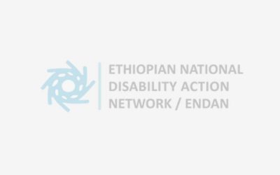 Validation Workshop on the Preliminary Findings of an Assessment Conducted on Disability Sensitivity/Inclusiveness of Ethiopian Government Policies and Laws with Respect to Employment/Labor Market