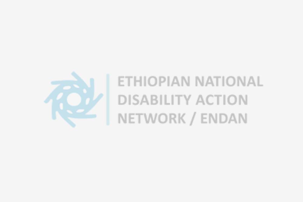 Validation Workshop on the Preliminary Findings of an Assessment Conducted on Disability Sensitivity/Inclusiveness of Ethiopian Government Policies and Laws with Respect to Employment/Labor Market